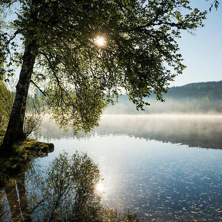 Ferienwohnung Am Schwellenweiher Фельдберг Экстерьер фото