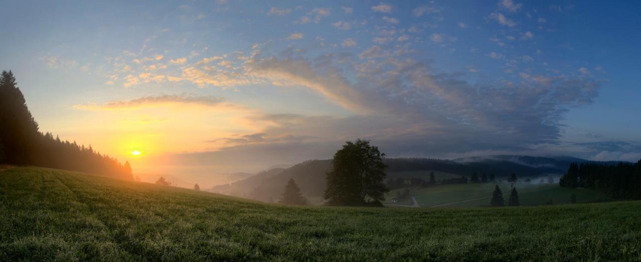 Ferienwohnung Am Schwellenweiher Фельдберг Экстерьер фото