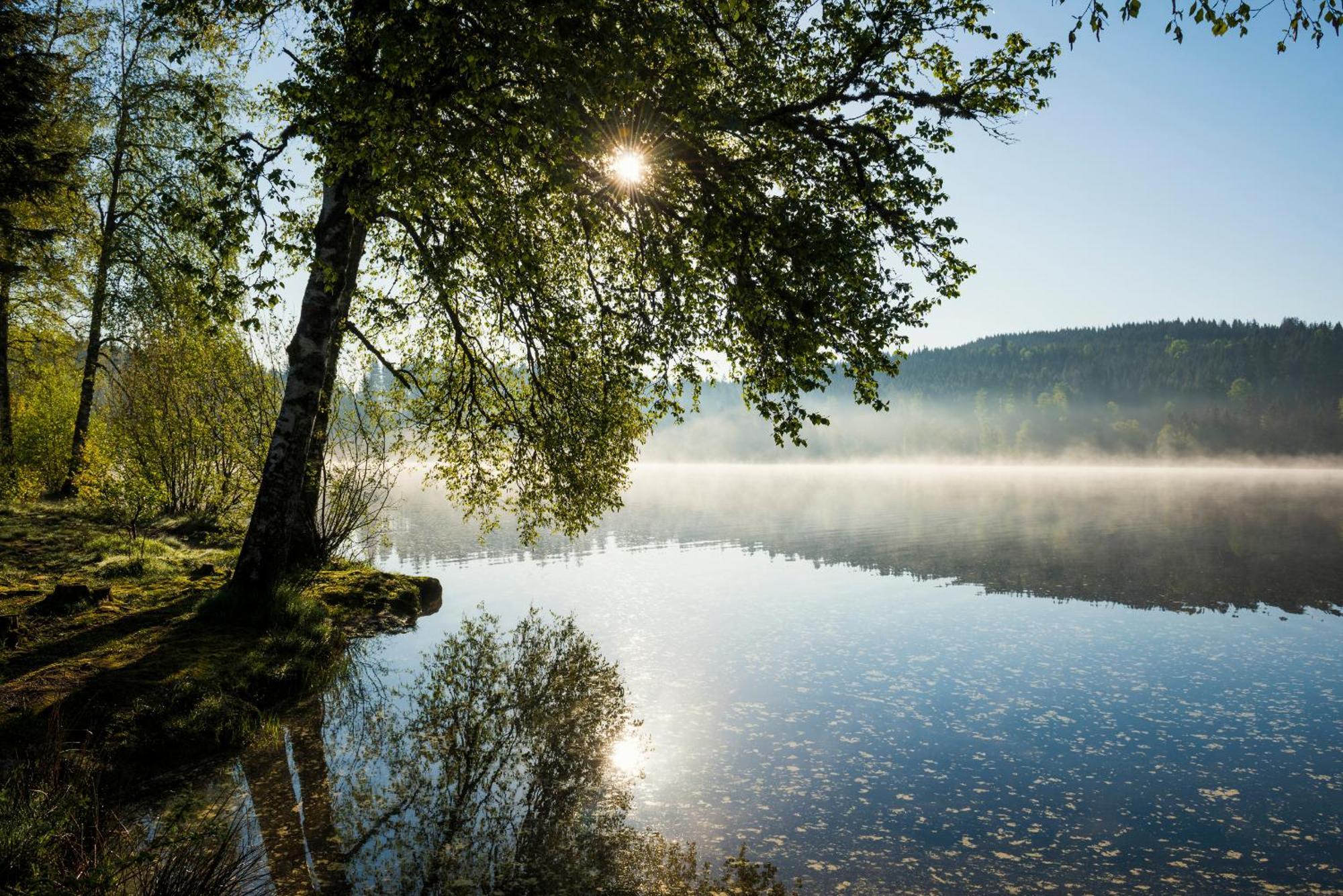 Ferienwohnung Am Schwellenweiher Фельдберг Экстерьер фото
