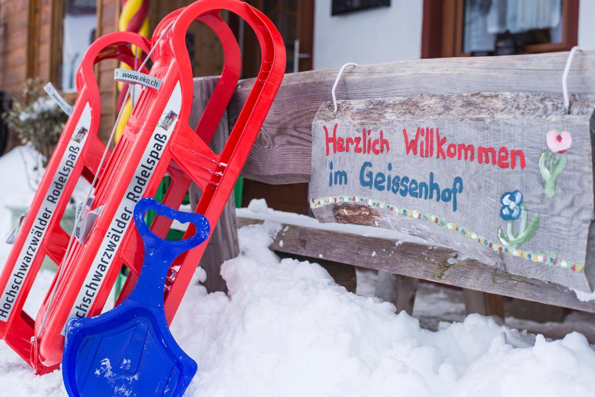 Ferienwohnung Am Schwellenweiher Фельдберг Экстерьер фото