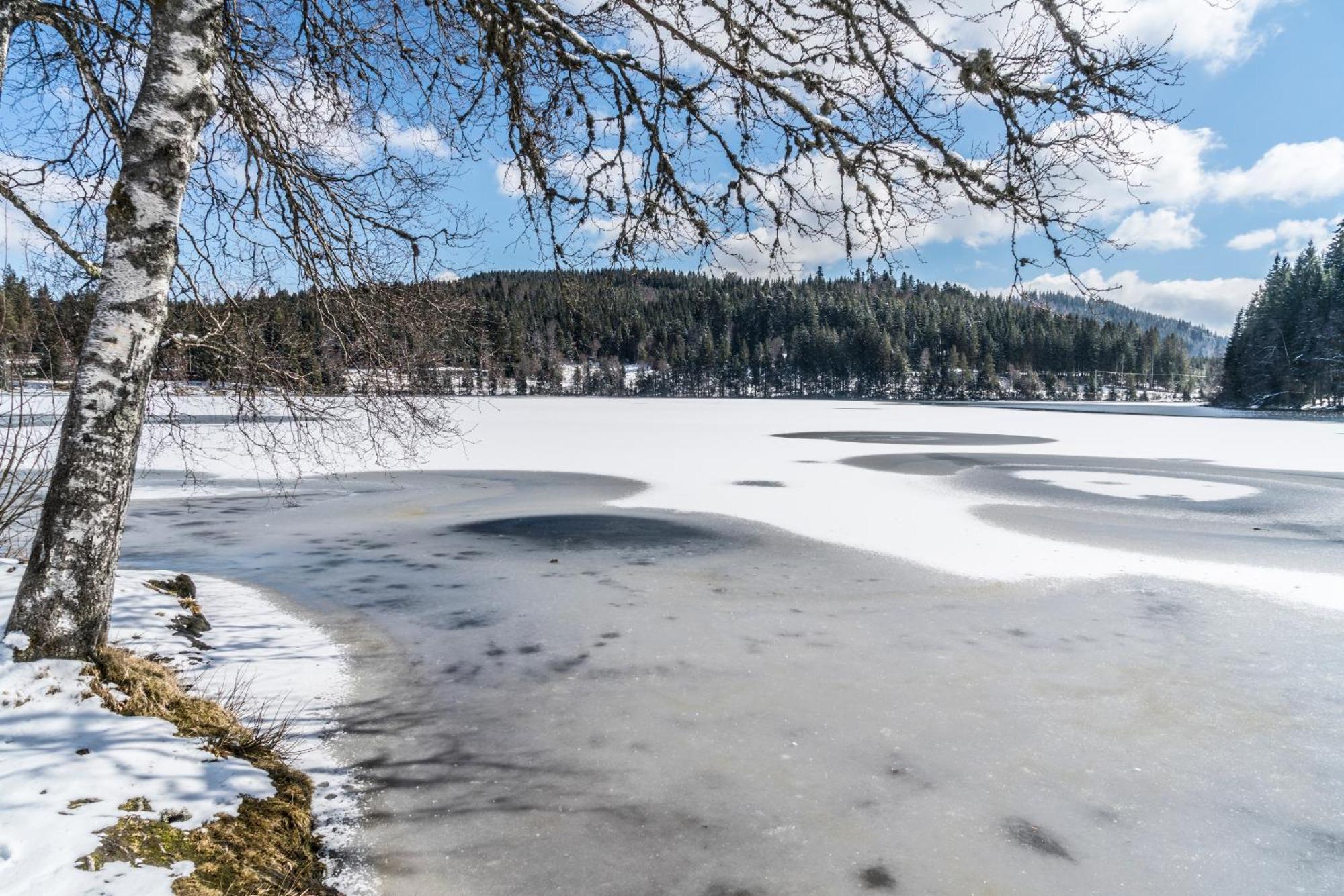Ferienwohnung Am Schwellenweiher Фельдберг Экстерьер фото