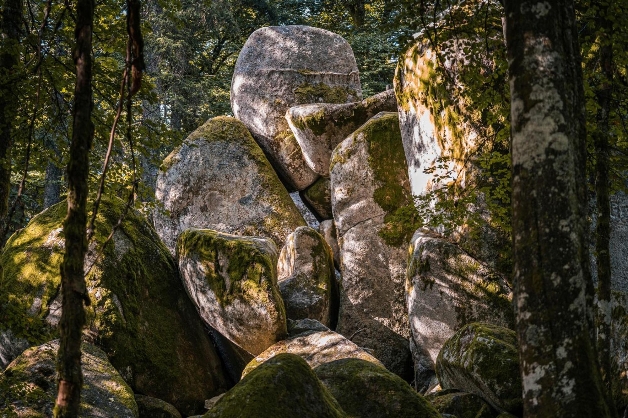 Ferienwohnung Am Schwellenweiher Фельдберг Экстерьер фото