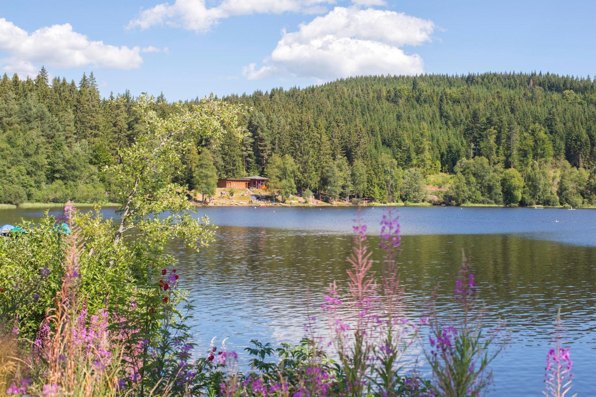 Ferienwohnung Am Schwellenweiher Фельдберг Экстерьер фото