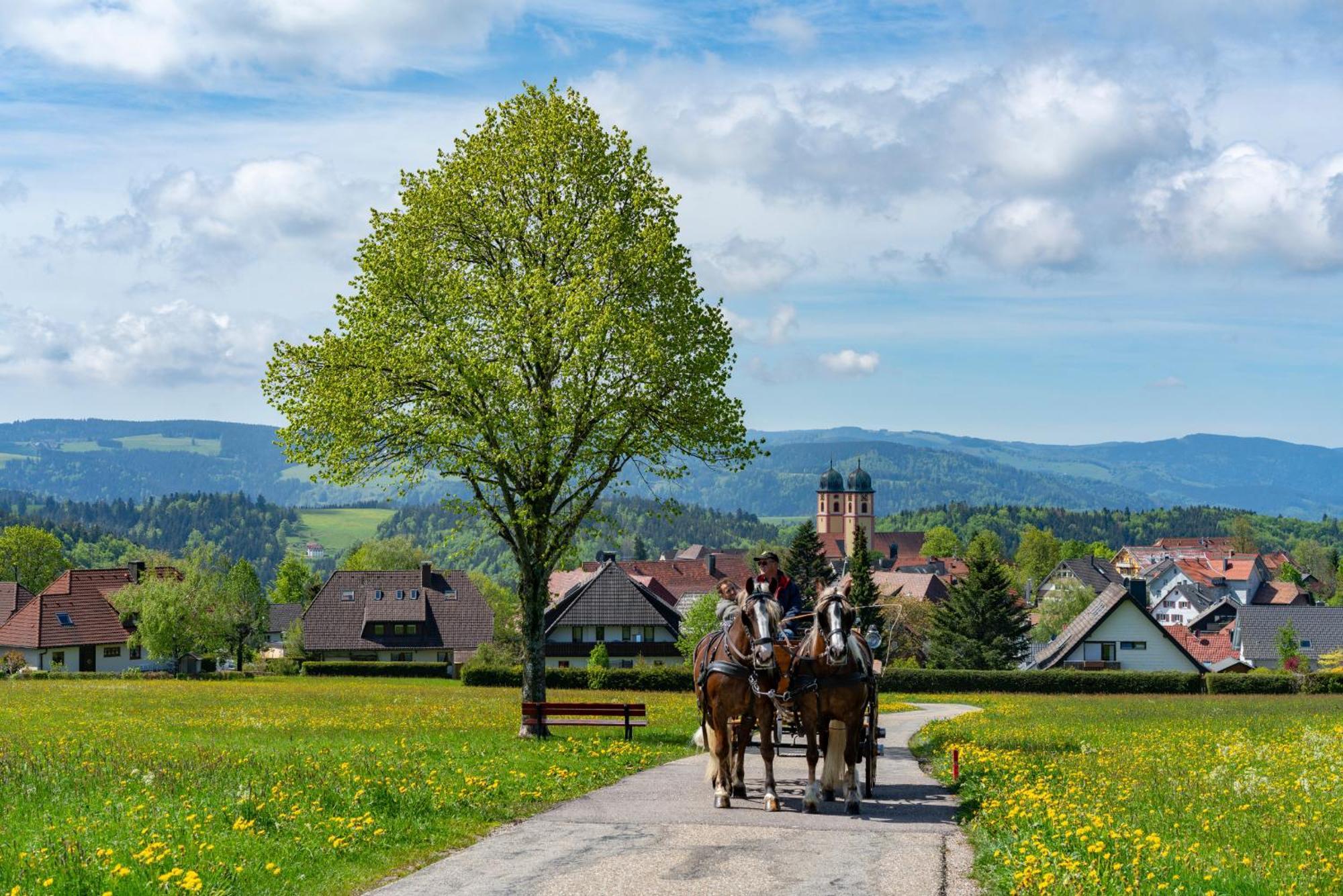 Ferienwohnung Am Schwellenweiher Фельдберг Экстерьер фото